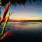 Coco Beach Resort