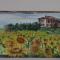 B&B Il Girasole - Rooms & House in country - air conditioned - 1500 meters from historic center