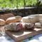 B&B I Corni di Nibbio - ميرجوزو