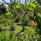 Secret Garden