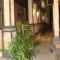 Bima Sakti House Canggu