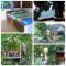 Nice View Bungalow - Ko Chang (Ranong)