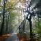 Wellness vakantie villa