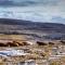 Fanore Holiday Cottages