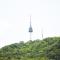 Namsan Forest in Myeongdong Namsan Forest in Myeongdong