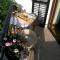 Apartment Bozac