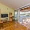 Apartments Ivo
