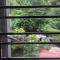 Phuong Phuong Hotel
