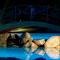 Camping villaggio LUltima spiaggia