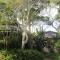 Treehouse Cottage - The Crags
