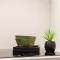 Catedral Boutique Studio