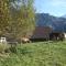 Bergdohle