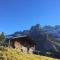 Bergdohle