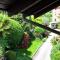 IRIS 2 lago di Como - 东戈