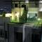 H2H - Nichole Maison - Majestic Ipoh