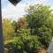 Millstream Inn guest house