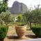 Olive Grove