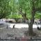 "La place du village" photo 8