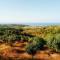 Villa immersa in oliveto vista mare
