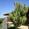 CuccuruAio B&B