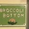 Broccoli Bottom Broccoli Bottom