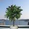 Villa Big Blue, Tisno