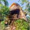 Lotus Garden Huts