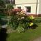 APARTAMENT WŁODEK