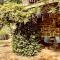 PIPPOS LITTLE RESORT/2