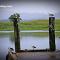 Egrets Rest