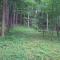 Guesthouse Jelic - تسليتش