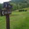 Guesthouse Jelic - تسليتش