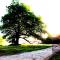The Mill House on the Brooks South Downs West Sussex Sleeps 15