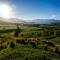 Cabot Lodge - Fiordland National Park