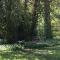 Wynberg House Bed & Breakfast Swansea