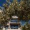 Olivia Estate Villa with Private Swimming Pool