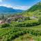 Vineus Tramin