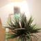 Horizons Apartments Newquay