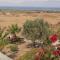 Foto: Aegean View Villa Mikri Vigla Naxos 23/26