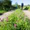 Clissmann Horse Caravans Glamping