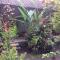 Nyuh Gading Accommodation Ubud - 乌布