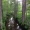 Merekalda Accommodation - Adults Only