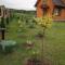 Lavender Cottage