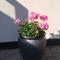 Guesthouse Hune