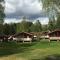 Foto: Steinvik Camping 19/19