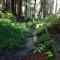 Emerald Forest Cabins - ترينيداد
