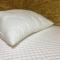 Comfort Guest House