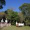 Ashnil Mara Camp