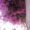 Boutique Hotel Tilos Mare