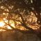 InniBos Marloth Park